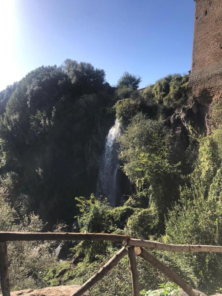 Apartamento Casuale House Castel Sant'Elia Exterior foto