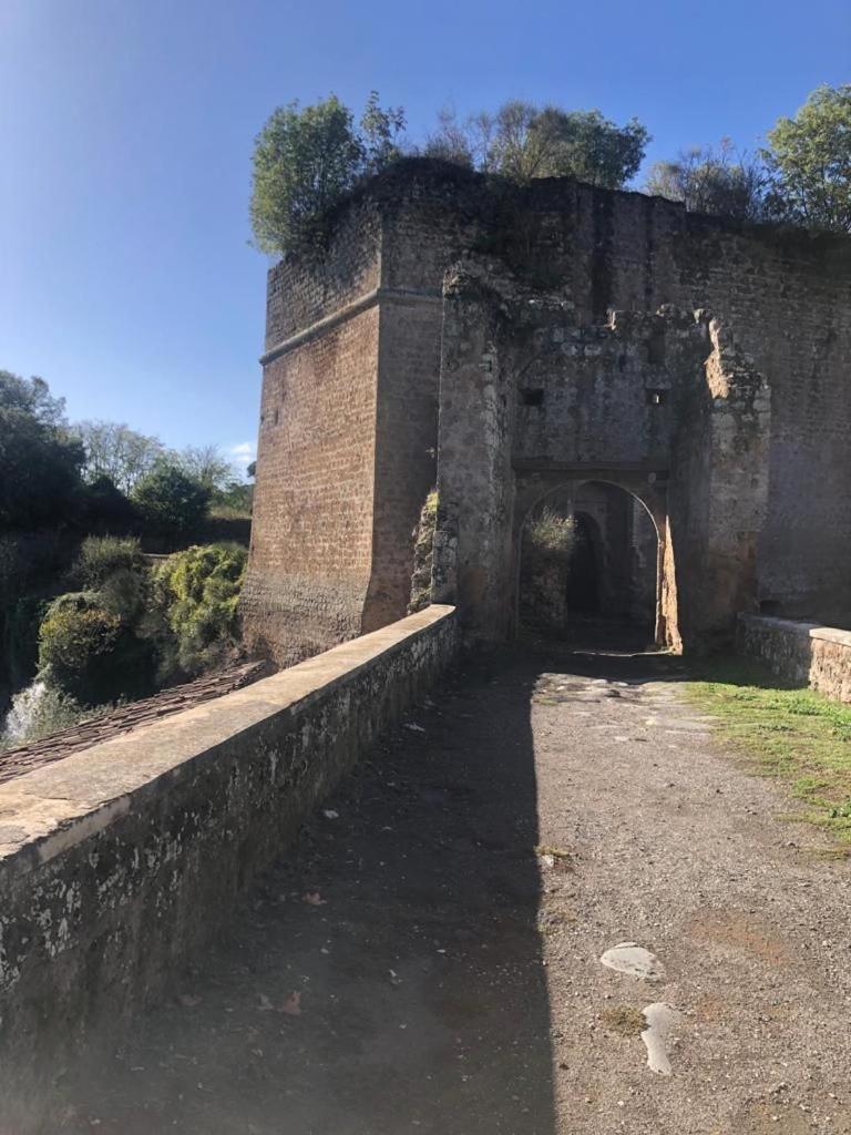 Apartamento Casuale House Castel Sant'Elia Exterior foto